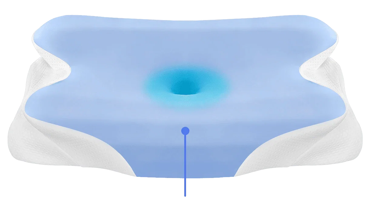 Max seller illustration or detail: the central recess